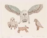 Owls and Rabbit, #81 from the 1967 Cape Dorset Print catalogue
