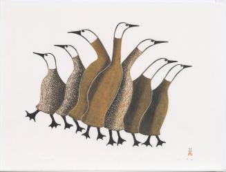 Startled Young Loons, No. 29 from the 1987 Cape Dorset Print catalogue
