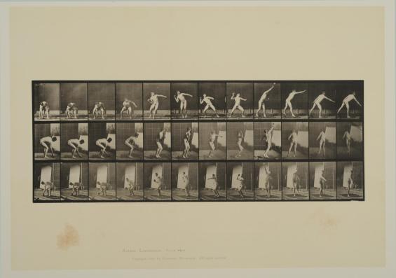 Plate 310. Putting the shot. From Volume 2, Male (Nudes) of Animal Locomotion: an electrophotographic investigation of consecutive phases of Animal Locomotion