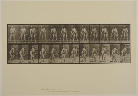 Plate 391. Farmer, mowing grass. From Volume 2, Males (Nude) of Animal Locomotion: an electrophotographic investigation of consecutive phases of Animal Locomotion