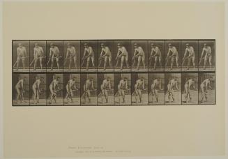 Plate 391. Farmer, mowing grass. From Volume 2, Males (Nude) of Animal Locomotion: an electrophotographic investigation of consecutive phases of Animal Locomotion