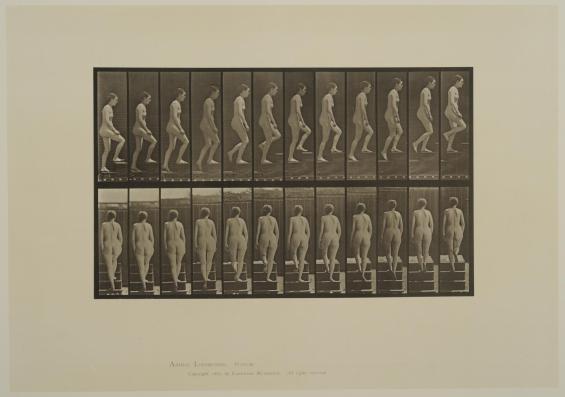 Plate 92. Ascending stairs. From Volume 3, Females (Nude) of Animal Locomotion: an electrophotographic investigation of consecutive phases of Animal Locomotion