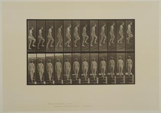 Plate 92. Ascending stairs. From Volume 3, Females (Nude) of Animal Locomotion: an electrophotographic investigation of consecutive phases of Animal Locomotion