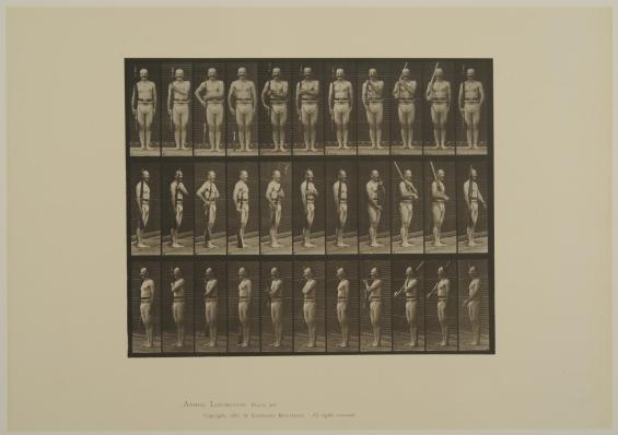 Plate 352.."Shoulder," "order," and "carry arms". From Volume 5, Males (Pelvis Cloth) of Animal Locomotion: an electrophotographic investigation of consecutive phases of Animal Locomotion