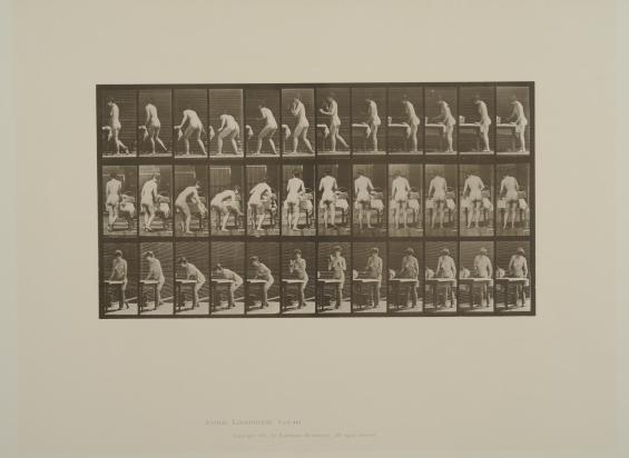 Plate 435. Ironing clothes. From Volume 4, Females (nude) of Animal Locomotion: an electrophotographic investigation of consecutive phases of Animal Locomotion