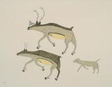 Caribou Chased by Wolf
