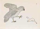 Tiriak Battles the Owl