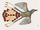 Bird in a Summer Sky, #45 from the 1978 Cape Dorset print catalogue
