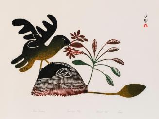 Bird Feeding, #38 from the 1969 Cape Dorset Print catalogue
