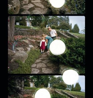 Regular 8 (Gairloch Garden)