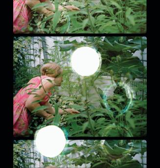 Regular 8 (Allan Gardens)