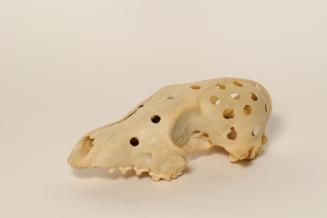 Fox Skull Game