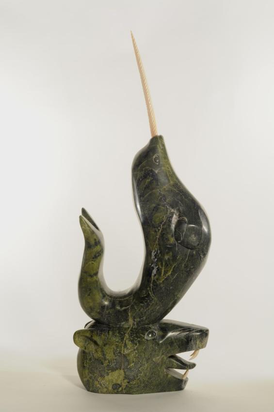 Narwhal on a Polar Bear's Head