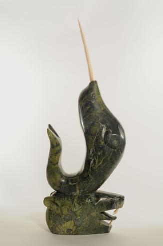 Narwhal on a Polar Bear's Head