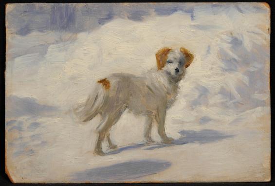 Dog (Artist's Dog Tuffy)