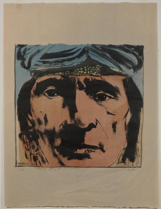 Prairie Turtle -- Missouri