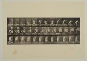 Plate 310. Putting the shot. From Volume 2, Male (Nudes) of Animal Locomotion: an electrophotographic investigation of consecutive phases of Animal Locomotion