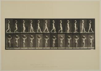 Plate 27. Walking and carrying a 75-lb. stone on head, hands raised. From Volume 1, Males (nude) of Animal Locomotion: an electrophotographic investigation of consecutive phases of Animal Locomotion