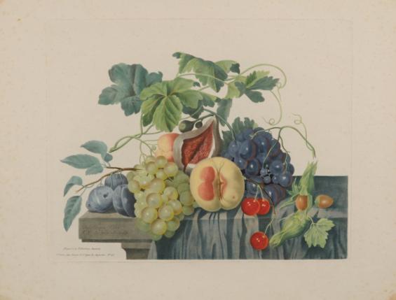 Untitled (fruit still life)