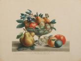 La Coupe des Fruits / The Cup of Fruits