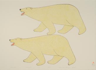 Polar Bears