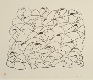 Flock of Swans