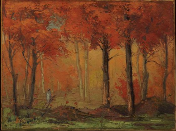 Woodland Scene