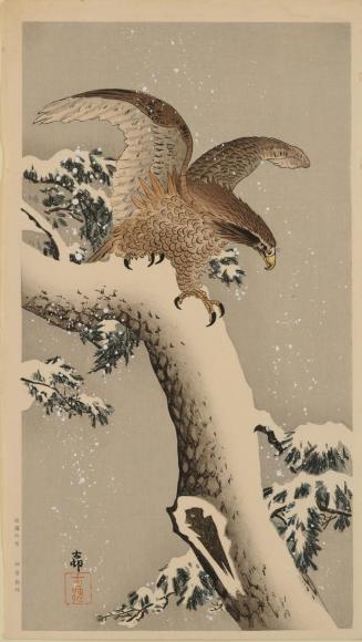 Eagle in Snow