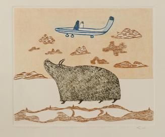 Muskox and Airplane