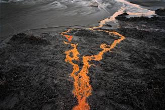 Nickel Tailings #31, Sudbury, Ontario