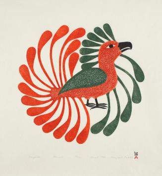 Aoujalik (Moulting Bird)