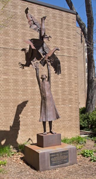 Man Releasing Eagles