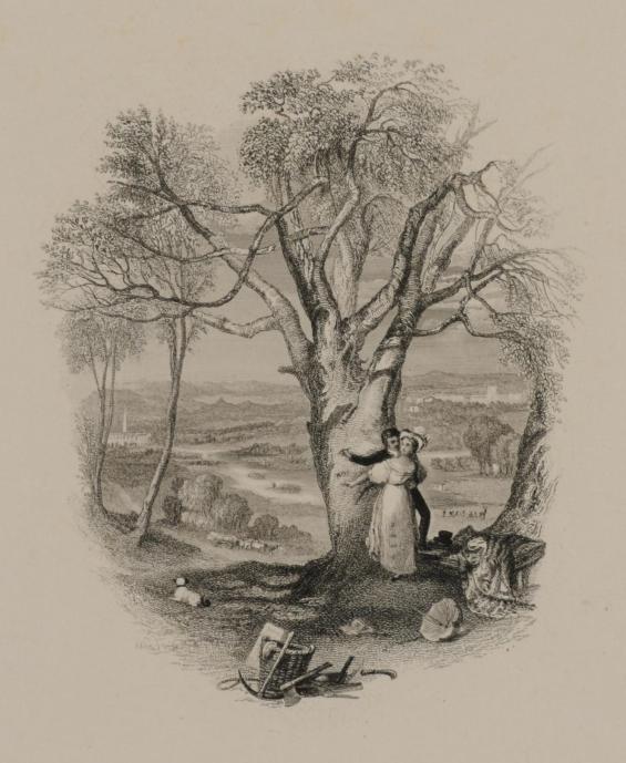 The Beech Tree's Petition