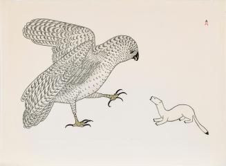 Tiriak Battles the Owl